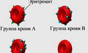 Может ли измениться группа крови и почему, важные факты