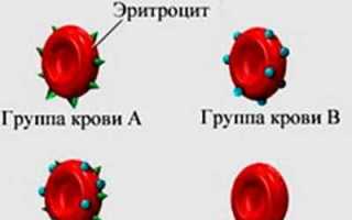 Может ли измениться группа крови и почему, важные факты