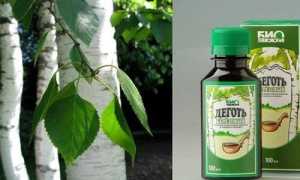 Лечение геморроя дёгтем в домашних условиях