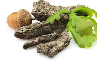 Можно ли использовать кору дуба для лечения геморроя?