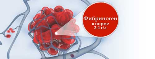 нормы фибриногена