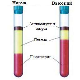 гематокрит сравнение с нормой