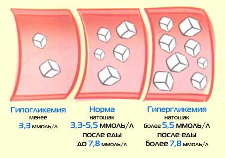 норма сахара в крови