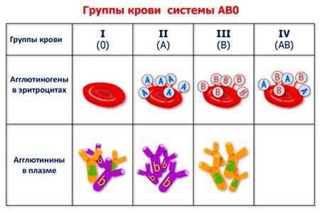 система АБ0