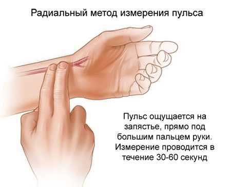 измерение пульса