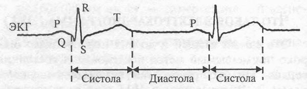 расшифровка ЭКГ