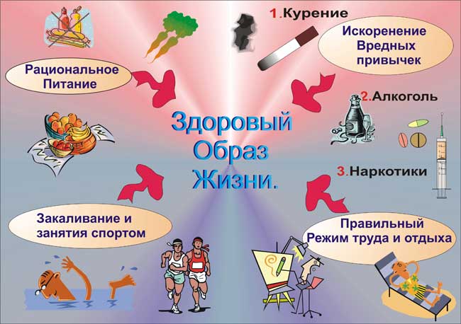 здоровый образ жизни