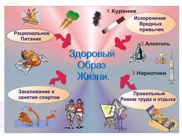 здоровый образ жизни