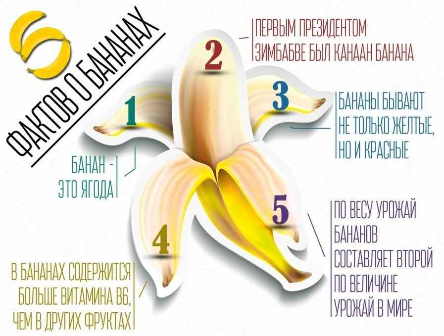 Бананы