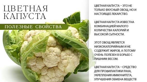 Цветная капуста: свойства
