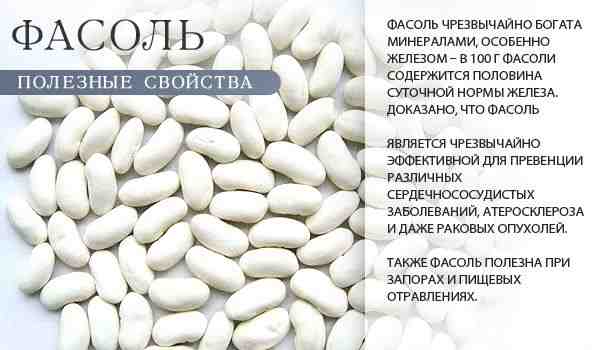 Полезные свойства фасоли
