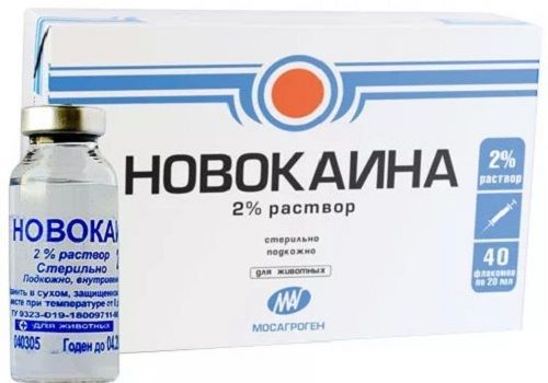 2% раствор Новокаина