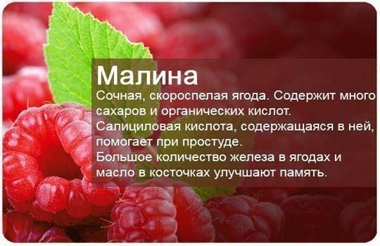 Малина