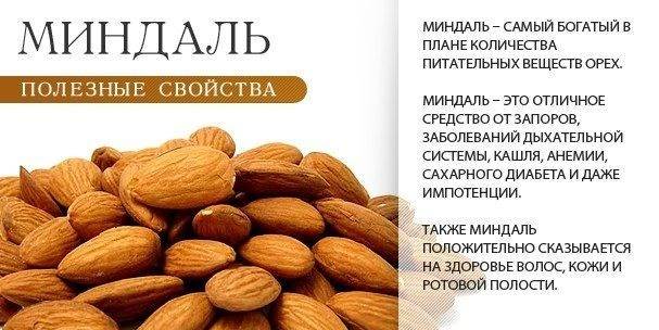 Свойства миндаля